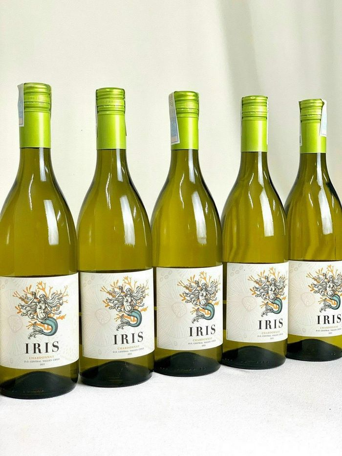 Cách bảo quản và sử dụng rượu vang Chile IRis CHARDONNAY trắng