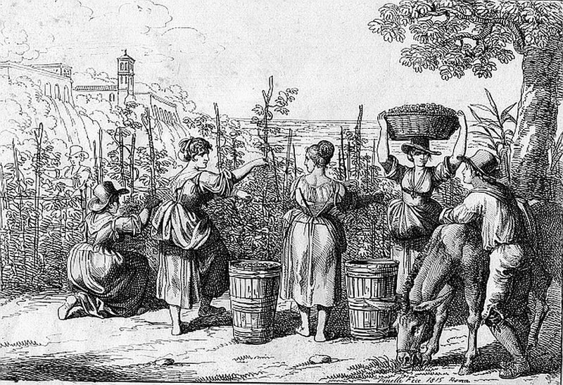 Lịch sử ra đời của rượu Johnnie Walker