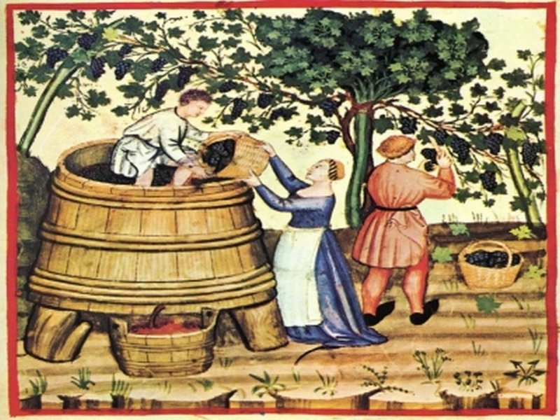 Lịch sử hình thành của rượu vang