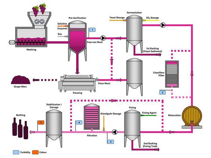 Quy trình sản xuất rượu vang Chile