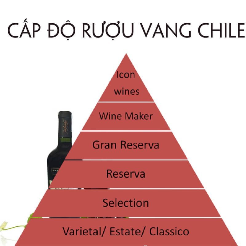Phân loại cấp độ của rượu vang Chile