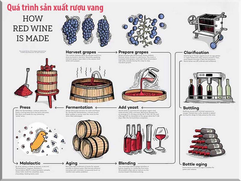 Quy trình sản xuất rượu vang Đà Lạt