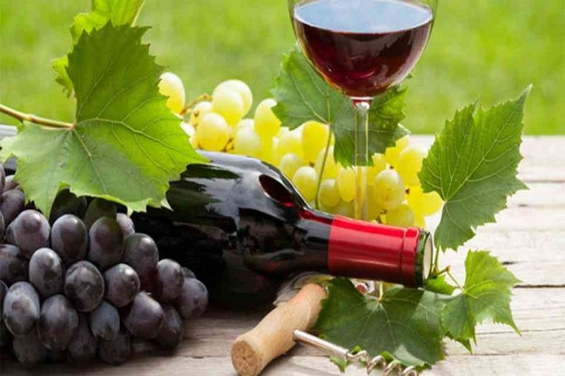 Các giống nho được dùng để sản xuất rượu vang Úc