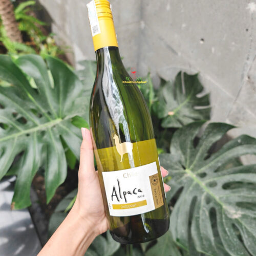 Rượu vang trắng Chile Alpaca Chardonnay 750ml 12,5%