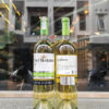 RƯỢU VANG CHILE SAN MARINO SAUVIGNON BLANC 750ML