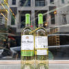 Vang Chile trắng Santo Molina Sauvignon Blanc 750ml